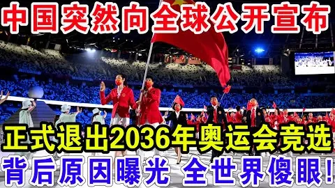 琼阿梅尼闪耀演出，德尚高度赞誉美妙之夜