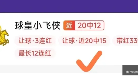 2026年球场热身安全指南：雷击应对及开球时间调整攻略