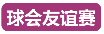 球会友谊赛
